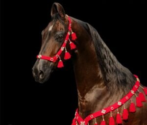 Tissue Cryopreservation: How We Save Life Beyond Generations